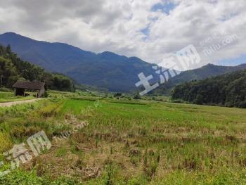 南平建阳区 200亩 水浇地 经营权出租