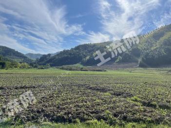 南平建瓯市 150亩 水田 经营权出租