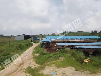 抚顺抚顺县 40亩 农场 使用权出租