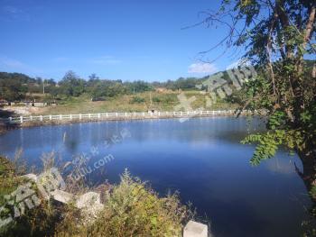 大连长海县 120亩 果园 经营权出租