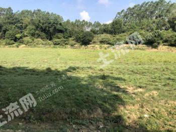 清远英德市 100亩 水田 经营权转让