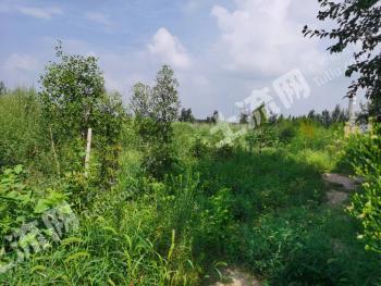 德州德城区 7888平方米 裸土地 使用权出租