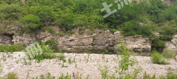 鹤壁淇县 101532.48亩 其它林地 经营权转让