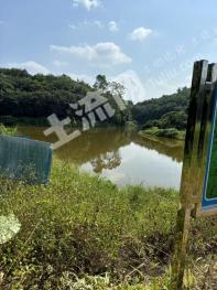 茂名高州市 28.12亩 水库水面 经营权出租
