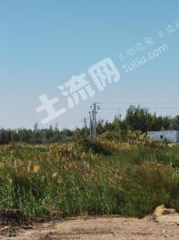 阿勒泰福海县 5846.81亩 水浇地 经营权出租