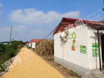 临沂郯城县30亩旱地经营权出租