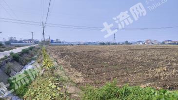 常德澧县 47.53亩 水田 经营权出租