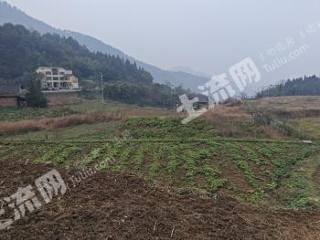 重庆綦江区 1000亩 设施农用地 经营权出租