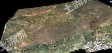 保山隆阳区 226.36亩 其它园地 经营权出租