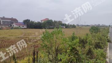 常德澧县 38.11亩 水田 经营权出租