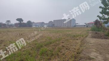 常德澧县 53.34亩 水田 经营权出租