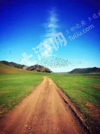 兴安盟科尔沁右翼前旗 1000亩 旱地 经营权出租