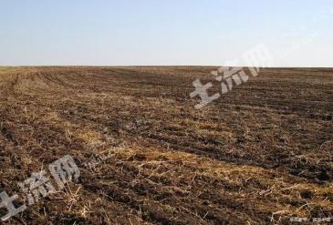 兴安盟右旗6000亩水浇地经营权出租