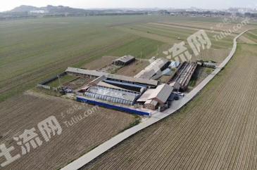 鞍山海城市 6.75亩 农场 使用权转让