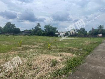 东南亚泰国 18亩 旱地 经营权出租