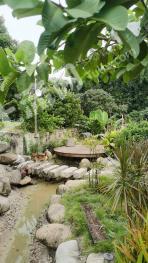 厦门集美区 12亩 果园 经营权出租