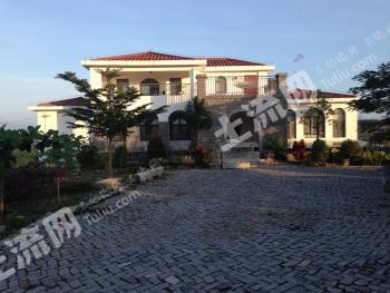 海南保亭黎族苗族自治县 60亩 果园 经营权转让