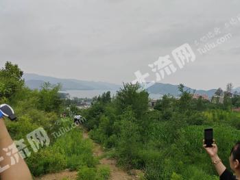 济南历城区 114亩 乔木林地 经营权转让
