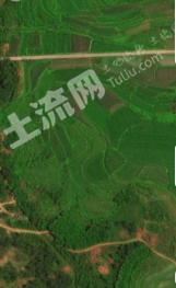 海南定安县 54.46亩 旱地 经营权出租