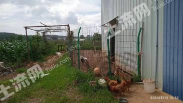 文山砚山县 63亩 坑塘水面 经营权转包