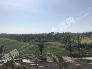 海南文昌市 100亩 城镇住宅用地 招拍挂