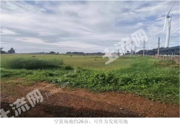 湛江徐闻县 37.6亩 沿海滩涂 使用权出租