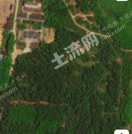 海南定安县 65亩 其它林地 经营权出租