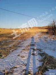 朝阳建平县 196.12亩 水浇地 经营权出租