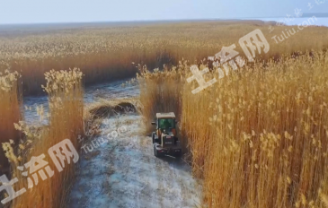 巴音郭楞焉耆回族自治县 4389.57亩 湖泊水面 使用权出租