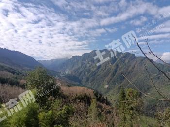 阿坝汶川县 9.97亩 农村宅基地 使用权出租