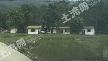 惠州博罗县27.53亩耕地-水田经营权出租