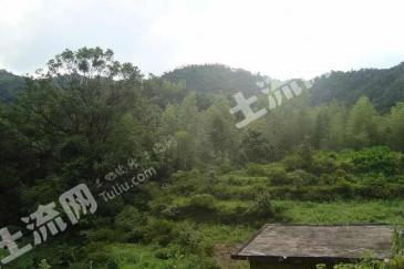 茂名信宜市 1500亩 水浇地 经营权出租