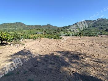 三亚崖州区 13.5亩 其它林地 经营权出租