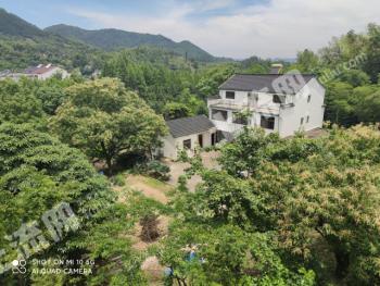 池州青阳县 6.7亩 农村宅基地 使用权出租