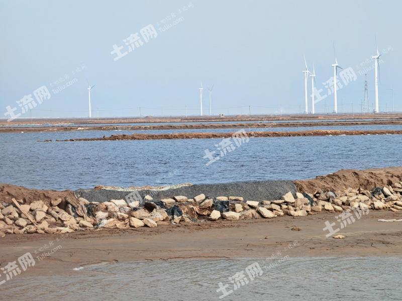 东营河口区 100亩 坑塘水面 经营权出租