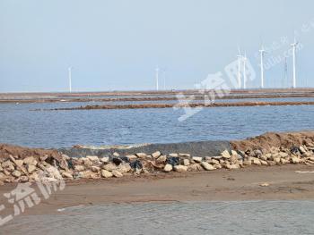 东营河口区 100亩 坑塘水面 经营权出租