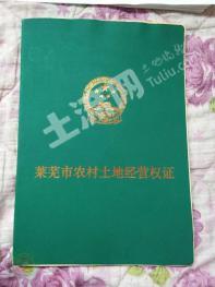 济南莱芜区 65.12亩 果园 经营权出租