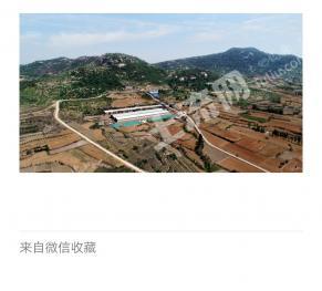 济宁邹城市 113.08亩 水浇地 经营权转让