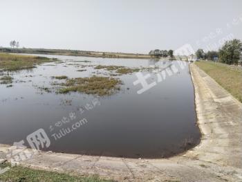 宿迁泗洪县 89.91亩 水库水面 经营权转包