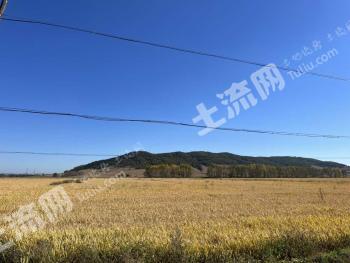 长春双阳区 57.16亩 旱地 经营权出租