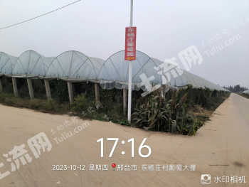 邢台巨鹿县 360亩 果园 经营权出租