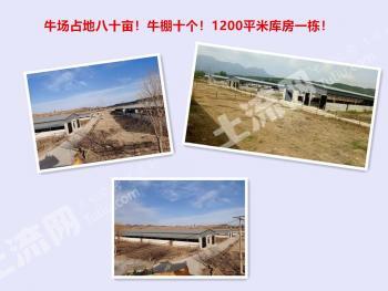 承德平泉市 80亩 设施农用地 经营权转让