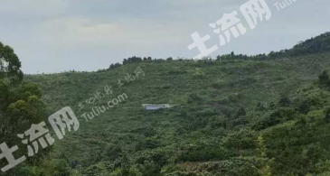 眉山仁寿县 90亩 灌木林地 经营权转让