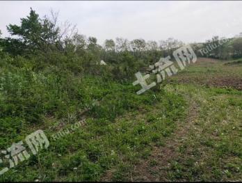 辽源东辽县 8亩 农村宅基地 使用权出租