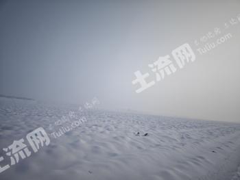 昌吉昌吉市 670亩 水浇地 经营权转让