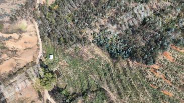 红河弥勒市 33.12亩 水浇地 经营权出租