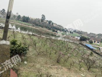 德阳旌阳区 6.95亩 农家庭院 使用权出租