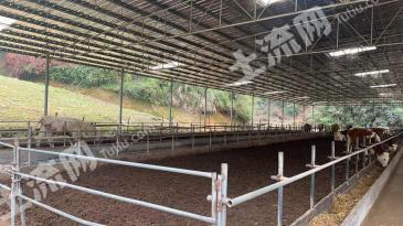 韶关翁源县 40亩 其它林地 经营权出租