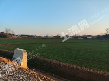 合肥长丰县 4500亩 水田 经营权出租