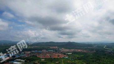 烟台莱山区 20亩 水浇地 经营权转让